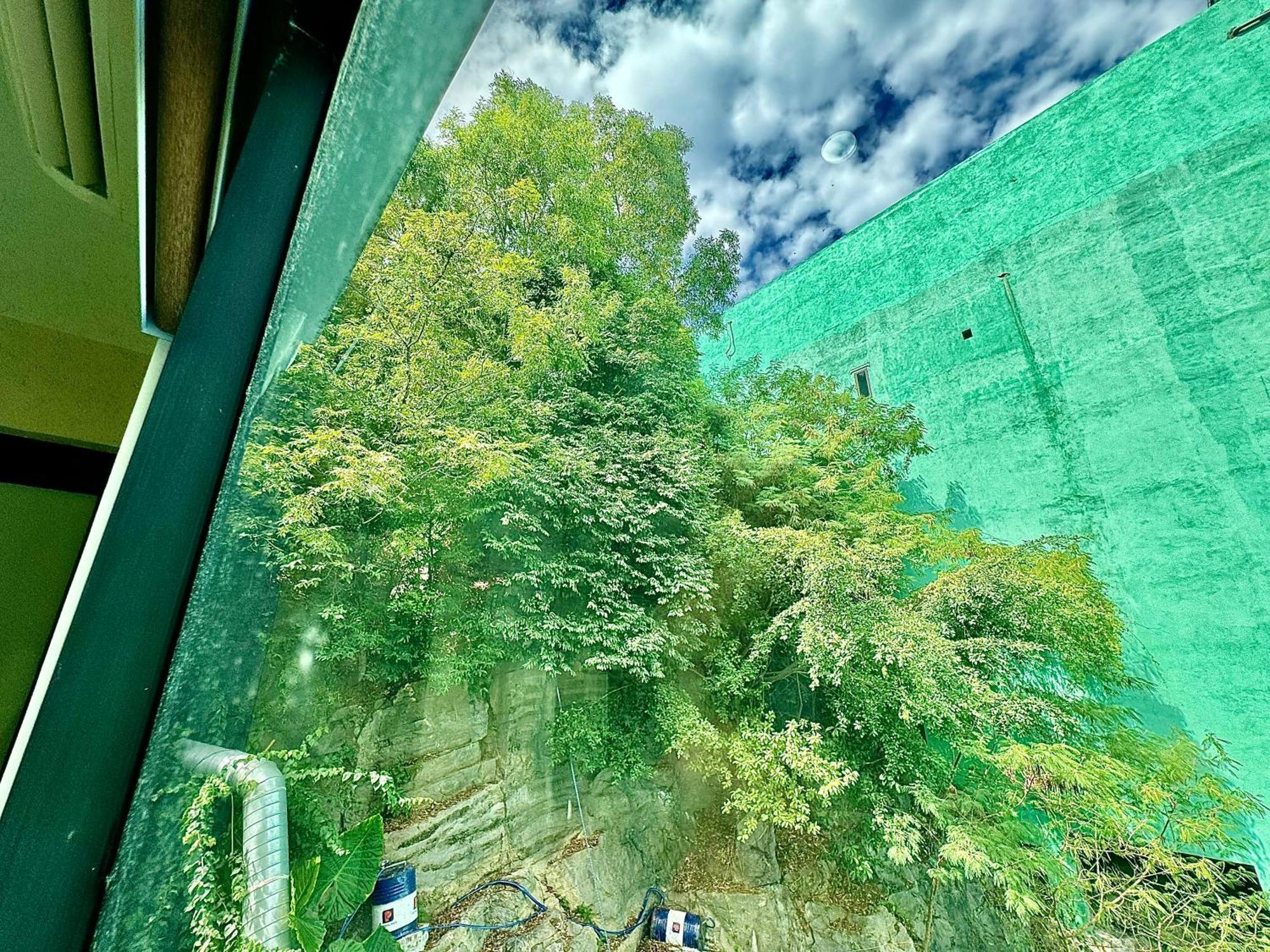 Sunflower Catba Hotel Dong Khe Sau 외부 사진